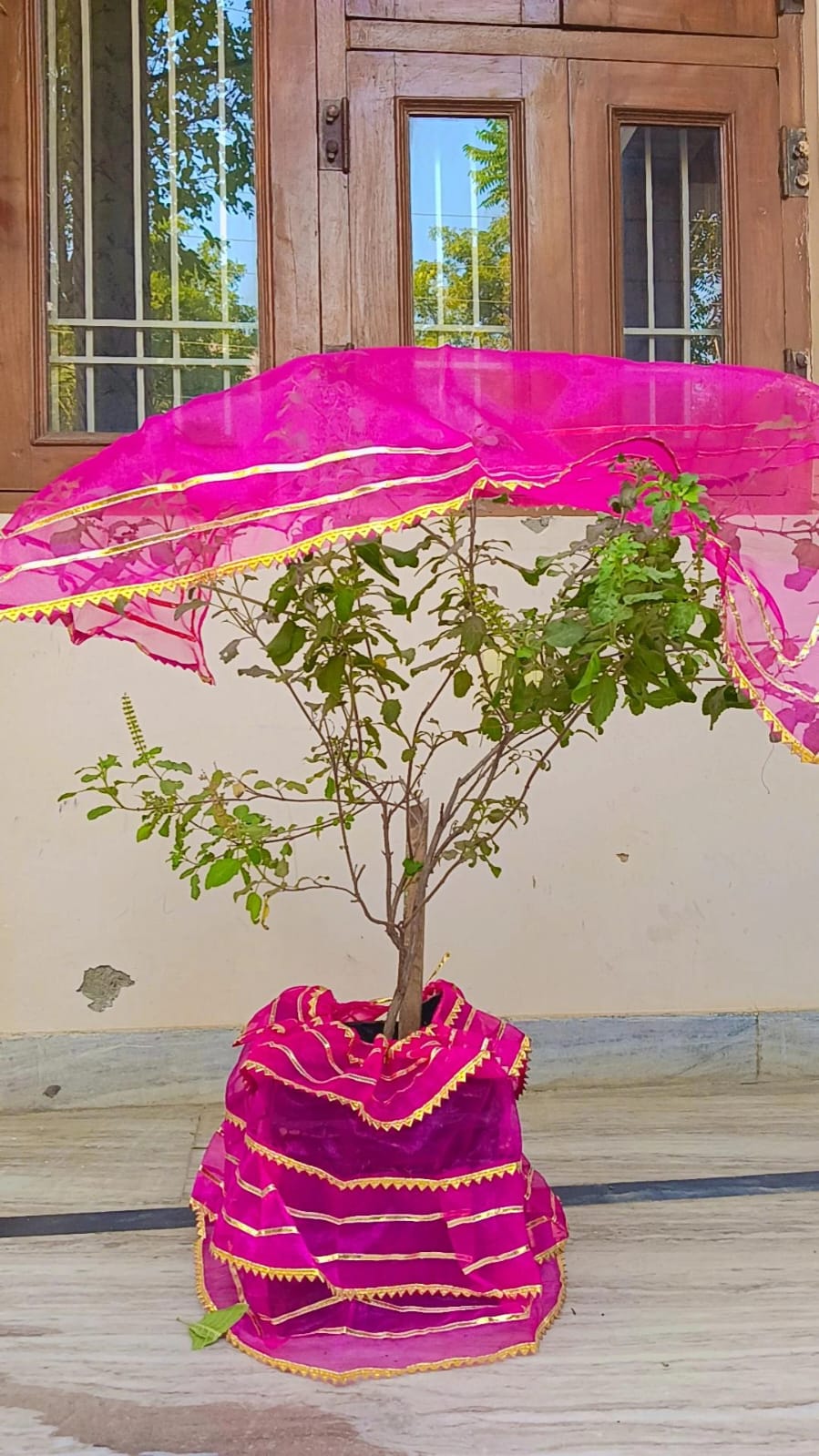 Tulsi Ji Dress - Ornate Outfit for Sacred Plant - Multiple Colors Available