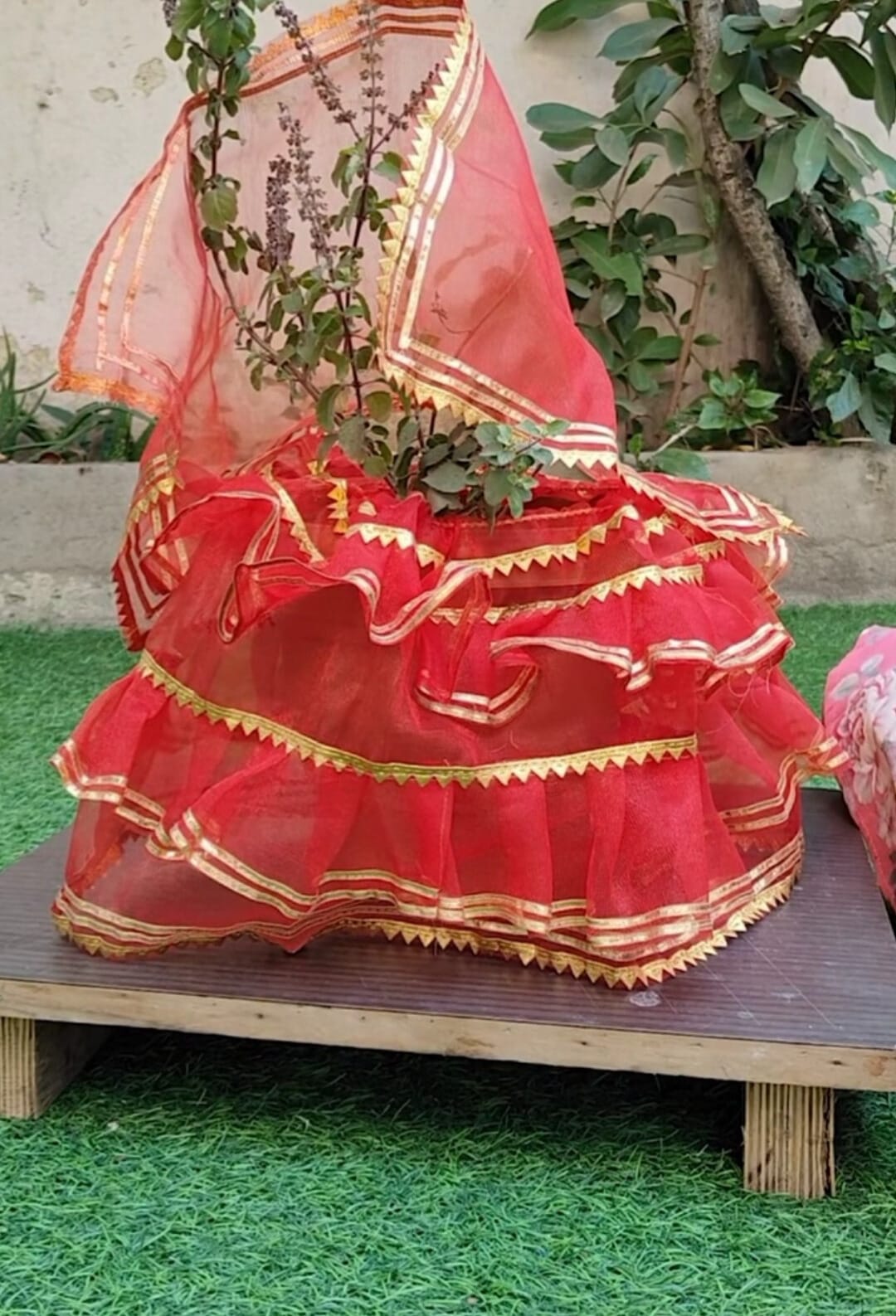 Tulsi plant dressed in a layered outfit with gold trim, placed on a wooden stand. Available in multiple colors.