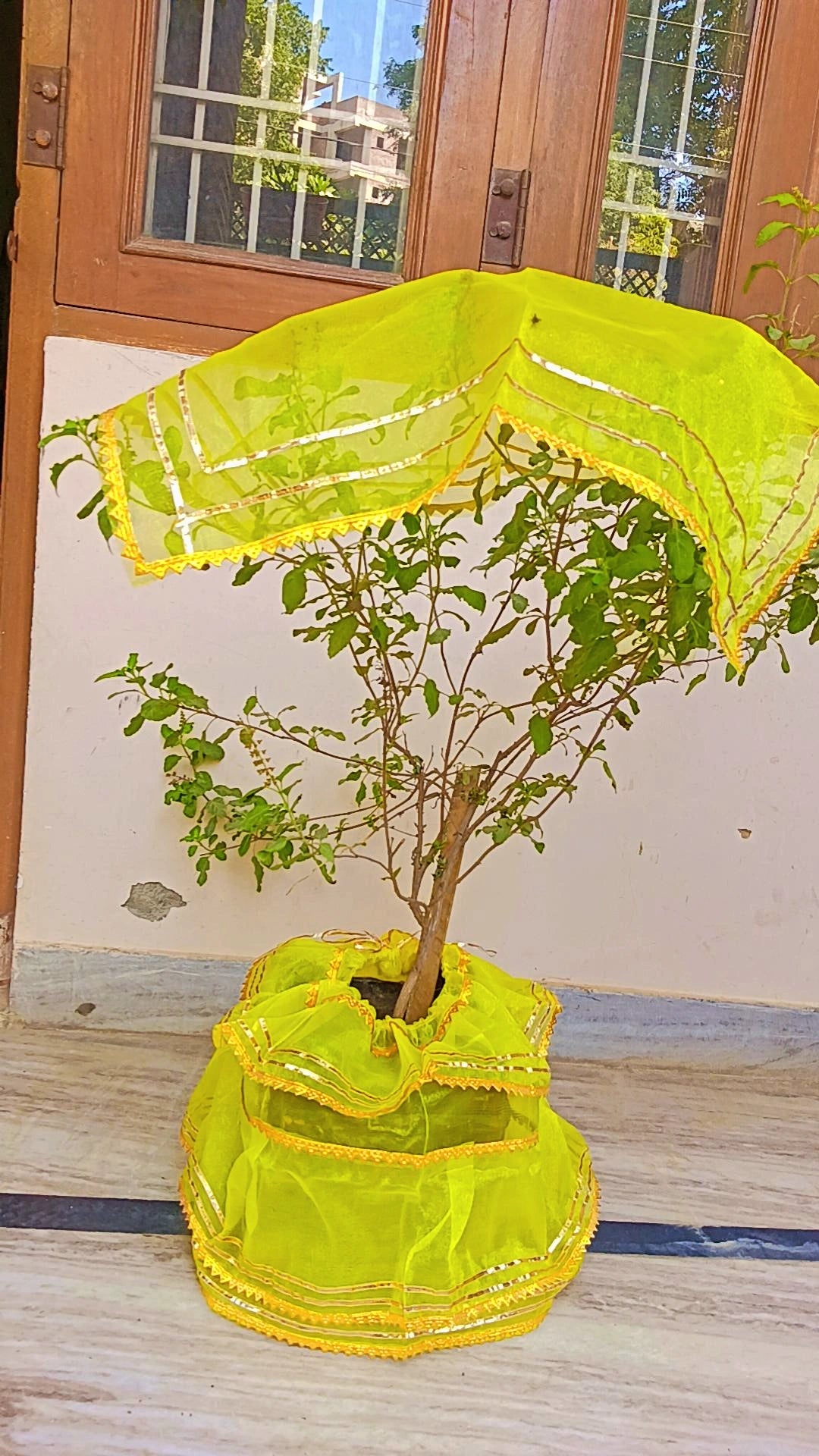 Tulsi Ji Dress For Tulsi Plant